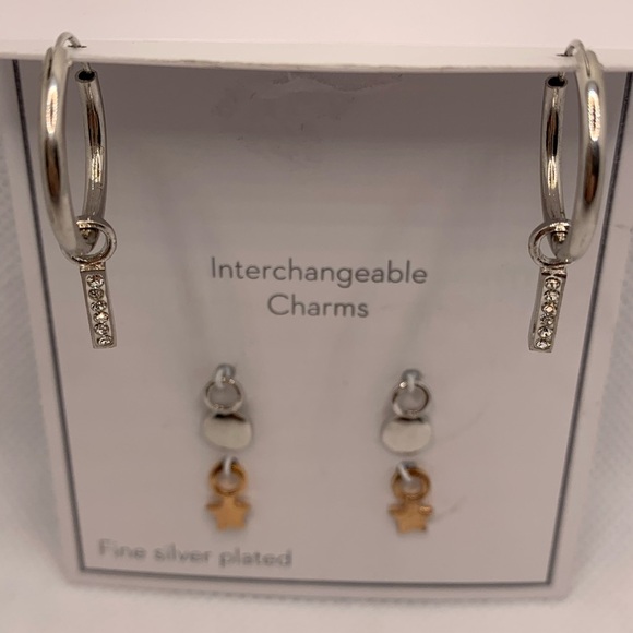 Gold and Silver Interchangeable Earrings Set with Charms - Picture 5 of 8